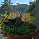 Appartamento Pet Friendly Licul